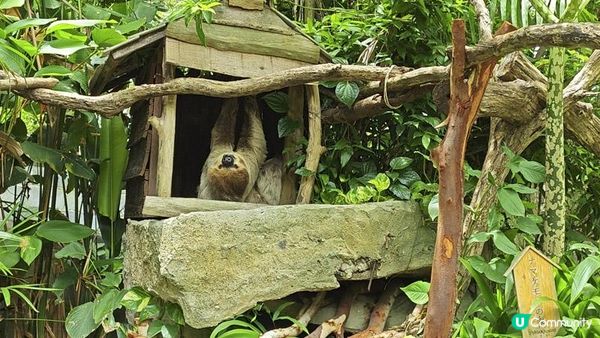 足跡芭堤雅。泰國芭堤雅親子遊記。Day 4