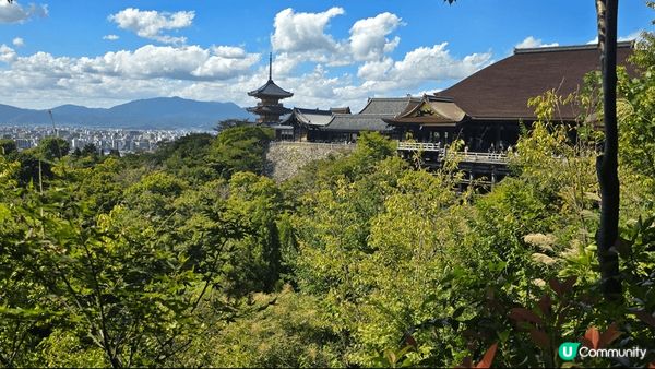 【清水寺的三重塔】 是全日本最高的象徵塔與櫻花或楓葉同框拍照...