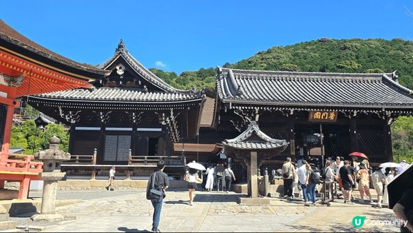 【清水寺的三重塔】 是全日本最高的象徵塔與櫻花或楓葉同框拍照...