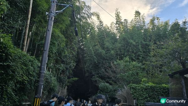 【清水寺的三重塔】 是全日本最高的象徵塔與櫻花或楓葉同框拍照...