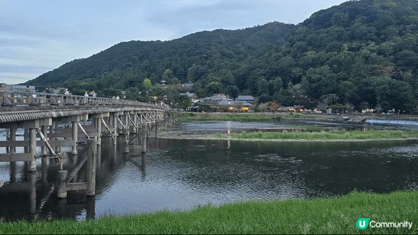 【清水寺的三重塔】 是全日本最高的象徵塔與櫻花或楓葉同框拍照...