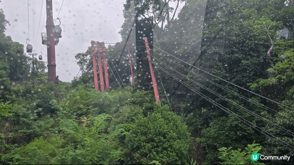 【清水寺的三重塔】 是全日本最高的象徵塔與櫻花或楓葉同框拍照...