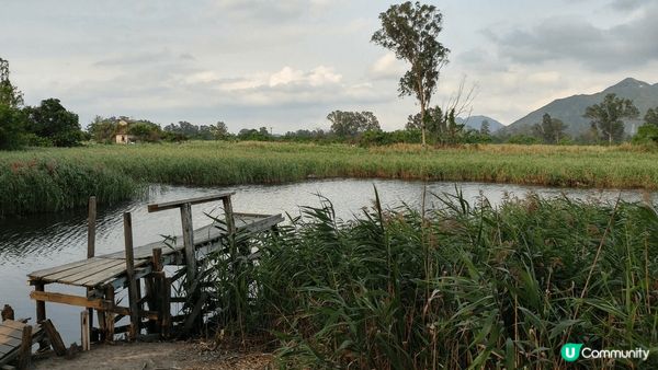 南生圍, 迪士尼樂園及迪欣湖, 可以欣賞大自然風景, 又可以...