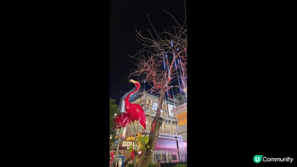 紅山6979 有好多打卡景點，美食又集中，食買玩一個地方可以...