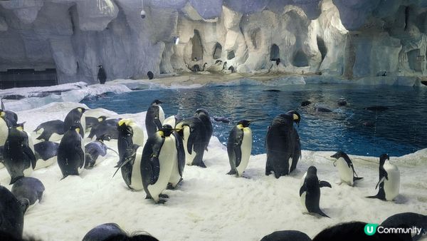 珠海長隆宇宙飛船樂園好啱小朋友去玩！一邊可以觀賞許多海洋生物...