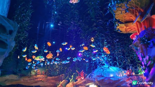 珠海長隆宇宙飛船樂園好啱小朋友去玩！一邊可以觀賞許多海洋生物...