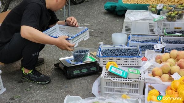 【中國旅遊】千萬不要一人去哈爾濱！ ¥25挑戰東北早市吃撐了｜美食景點精華｜Morning market, food ＆ attraction in Harbin, China｜momojoejoe