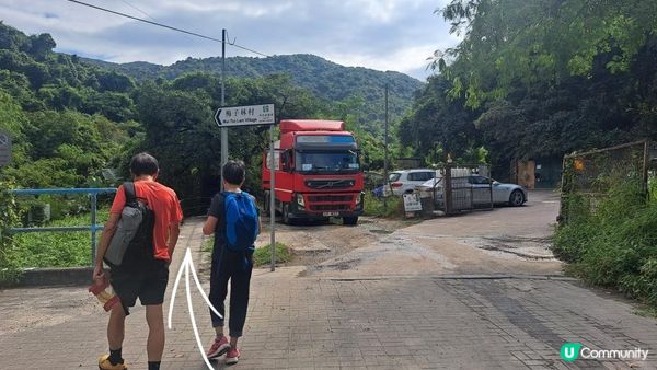 《大水坑至沙田小瀝源行山篇》茅坪古道、黃竹山古道、天窗石、黃牛石城