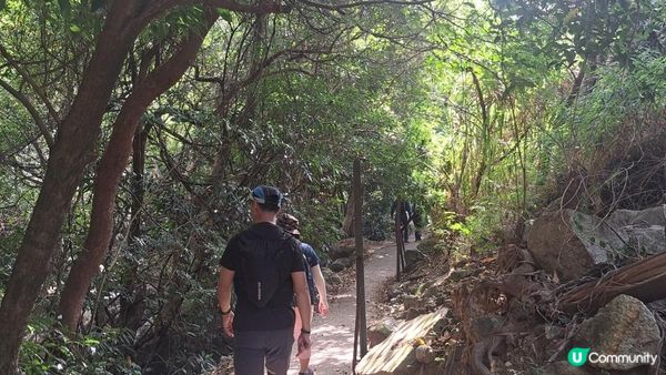 《大水坑至沙田小瀝源行山篇》茅坪古道、黃竹山古道、天窗石、黃牛石城