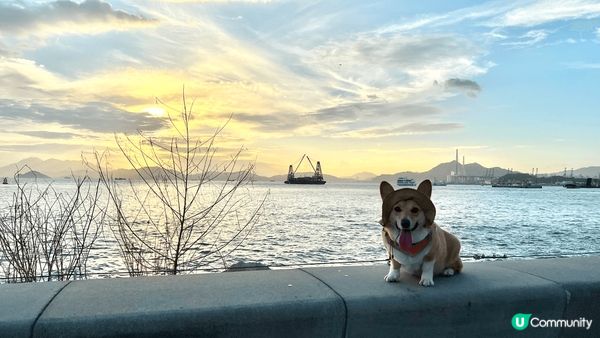 又Pet friendly又靚?一定係西九，第二張影完出?都...