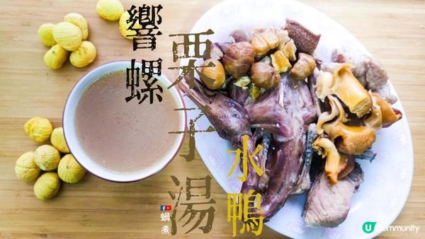 湯水篇｜栗子 響螺 水鴨 豬脊骨湯 滋陰 養肝 活血
