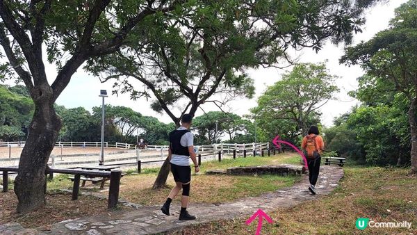 《清水灣行山篇》綠蛋島(遠觀)，刀片脊/坐佛崖