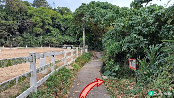 《清水灣行山篇》綠蛋島(遠觀)，刀片脊/坐佛崖