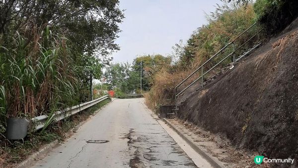 【粉嶺行山篇】龍山、流水響水塘、皇后山印度廟、石廬古宅