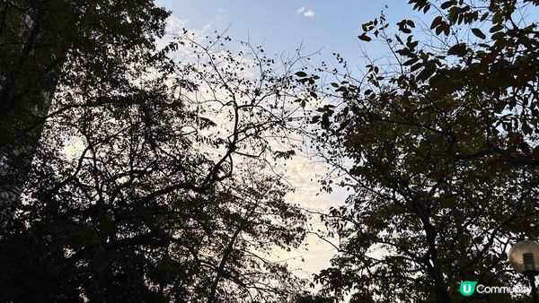 休閒放鬆解壓 我痛苦?時候呢?係我?解藥