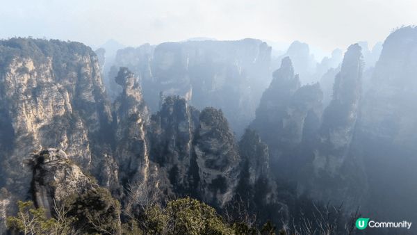 富良野的花海很是浪漫。張家界的奇峰令人大開眼界。鳳凰古城的夜...