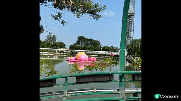 小梅沙深圳環境優美shopping熱點