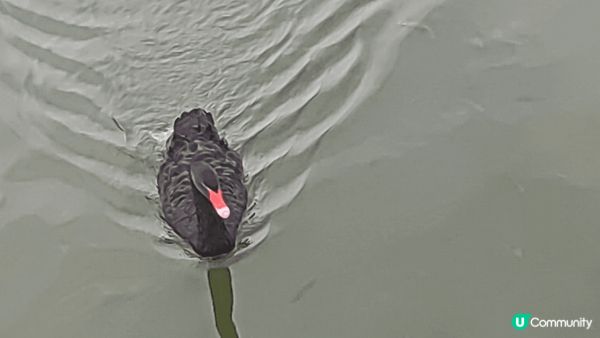 珠海香山湖公園