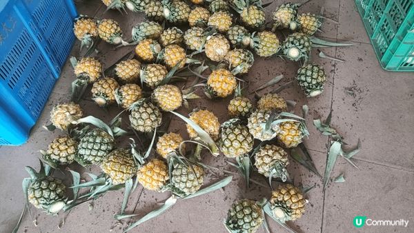 珠海香山湖公園