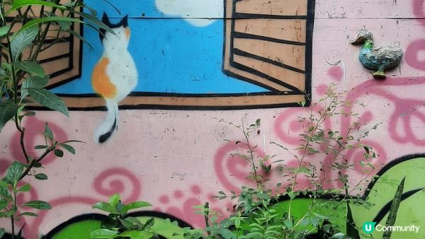 【薄扶林香港仔行山篇】薄扶林村/牛奶公司遺址、瀑布灣、雞蛋仔