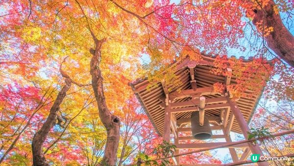 一起去秋天的京都吧。