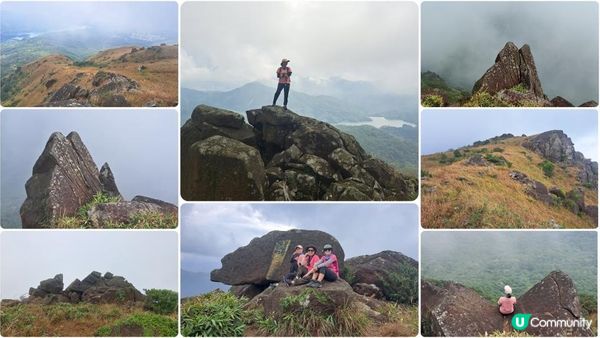 《城門水塘菠蘿壩至荃錦公路行山篇》龍門郊遊徑、大城石澗徑、禾秧脊、肥豬石/孔雀石、恐龍石、禾秧石林