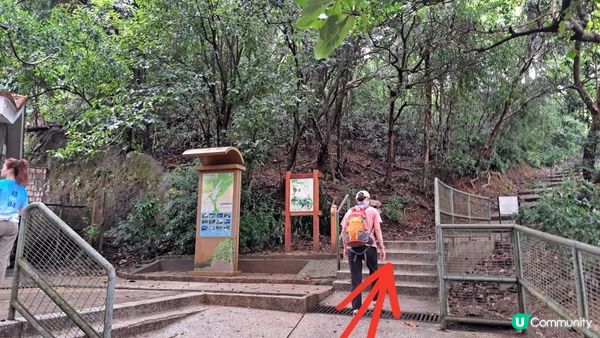 《城門水塘菠蘿壩至荃錦公路行山篇》龍門郊遊徑、大城石澗徑、禾秧脊、肥豬石/孔雀石、恐龍石、禾秧石林