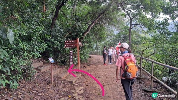 《城門水塘菠蘿壩至荃錦公路行山篇》龍門郊遊徑、大城石澗徑、禾秧脊、肥豬石/孔雀石、恐龍石、禾秧石林