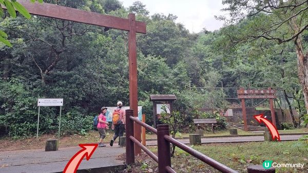 《城門水塘菠蘿壩至荃錦公路行山篇》龍門郊遊徑、大城石澗徑、禾秧脊、肥豬石/孔雀石、恐龍石、禾秧石林