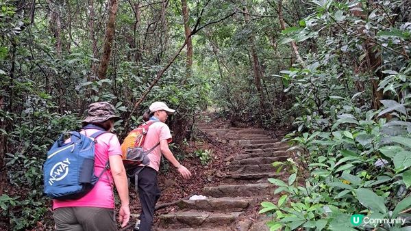 《城門水塘菠蘿壩至荃錦公路行山篇》龍門郊遊徑、大城石澗徑、禾秧脊、肥豬石/孔雀石、恐龍石、禾秧石林