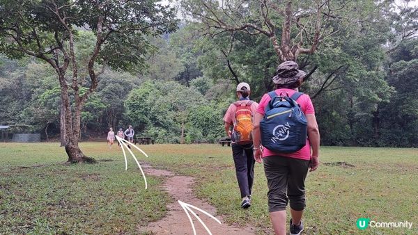 《城門水塘菠蘿壩至荃錦公路行山篇》龍門郊遊徑、大城石澗徑、禾秧脊、肥豬石/孔雀石、恐龍石、禾秧石林