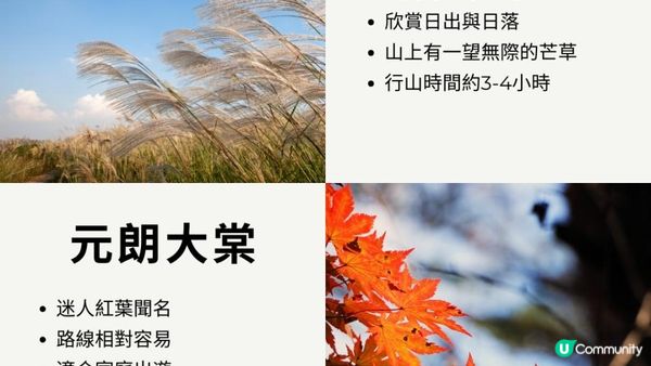 探索香港的隱秘山徑︱新手也能輕鬆上手