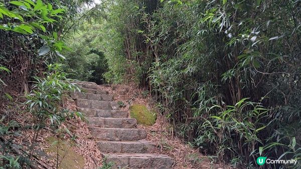 《石澳土地灣至大浪灣行山篇》雲枕山、哥連臣山、砵甸乍山、砵甸乍觀景台、大浪亭
