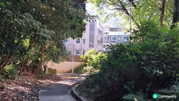 《大水坑至馬鞍山村行山篇》鹿巢石林、獨木舟石/鱷魚張口石/試劍石、蜥蜴石