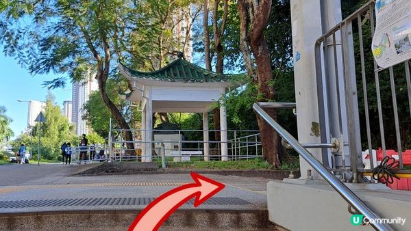 《大水坑至馬鞍山村行山篇》鹿巢石林、獨木舟石/鱷魚張口石/試劍石、蜥蜴石