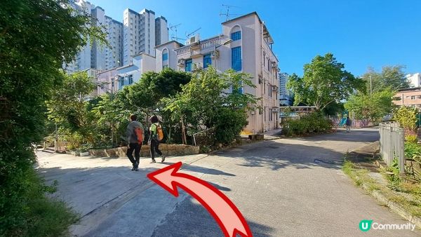 《大水坑至馬鞍山村行山篇》鹿巢石林、獨木舟石/鱷魚張口石/試劍石、蜥蜴石