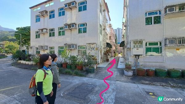 《大水坑至馬鞍山村行山篇》鹿巢石林、獨木舟石/鱷魚張口石/試劍石、蜥蜴石