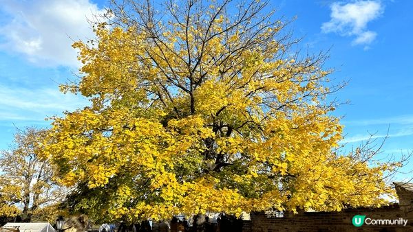 秋天既布拉格喺邊個位打卡都覺得好浪漫！之前來的時候係同爸媽一...