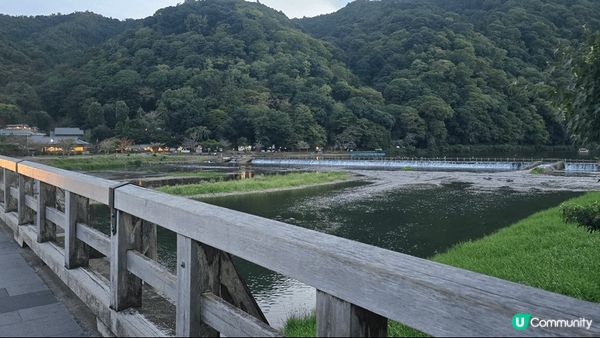 嵐山也以由高聳綠竹所形成的竹林小徑和優美的渡月橋而聞名。