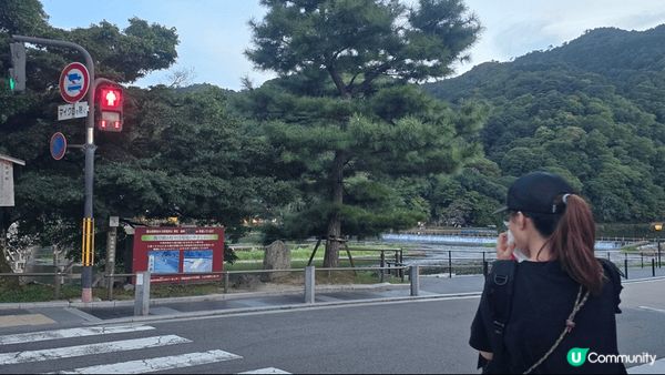 嵐山也以由高聳綠竹所形成的竹林小徑和優美的渡月橋而聞名。