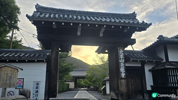 嵐山也以由高聳綠竹所形成的竹林小徑和優美的渡月橋而聞名。