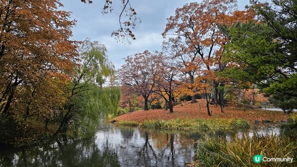 北海道的中島公園以其壯觀的紅葉而聞名，每年秋季吸引了大量遊客...