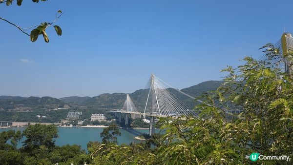 走在青嶼幹線觀景臺上，眼前的景觀實在太震撼了：大橋的偉大設計...