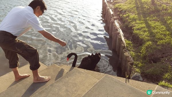 日本之行-鹿兒島，比大城市比較適合休閒的我，休閒的充電！人民...