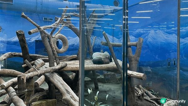 上次台北行去左溫泉博物館西門町，大稻埕碼頭非常之靚😍