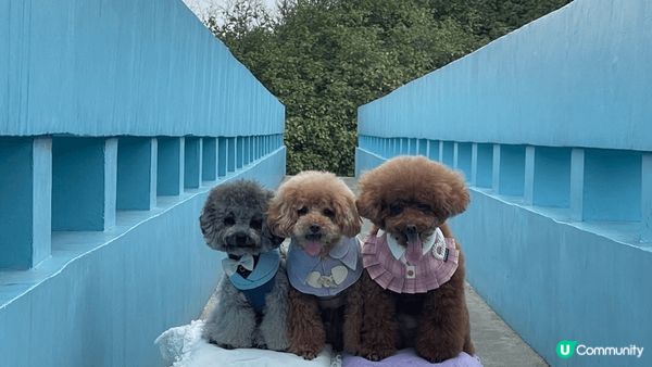 圖一）沖繩景點：古宇利海灘 - 心型岩：