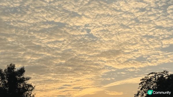 西貢食海鮮，行海旁，欣賞美麗日落