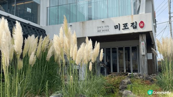 釜山風景特別美有最美的海灘及藍天白雲，太舒服寫意啦！在海邊食...