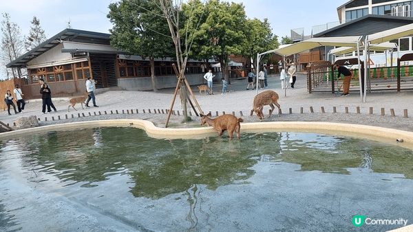 九份，十份，宜蘭，環境優美，遠離煩囂，好多路邊攤，特式小食