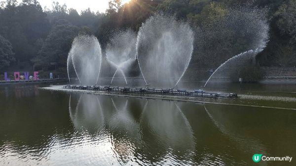 台中青青草原，景色優美，可以親近動物同賞花及觀看湖光山色。